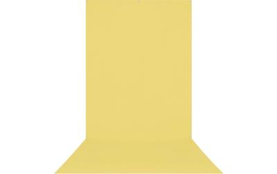 Westcott X-Drop Pro Backdrop