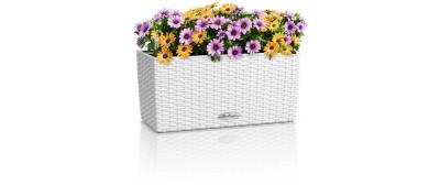 BALCONERA Cottage 40