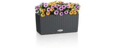 BALCONERA Cottage 40