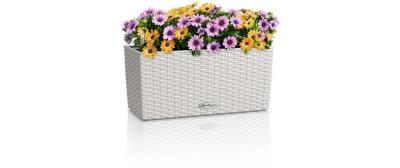 BALCONERA Cottage 40