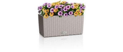 BALCONERA Cottage 40