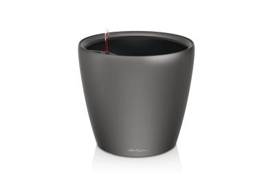 CLASSICO Premium LS 35