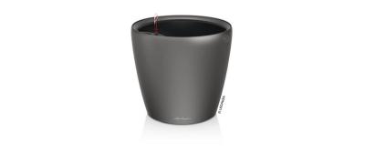 CLASSICO Premium LS 43