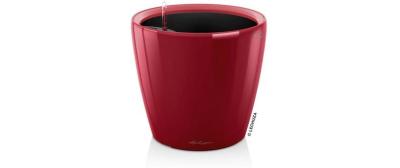 CLASSICO Premium LS 43