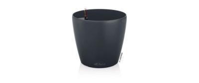 CLASSICO Color 60