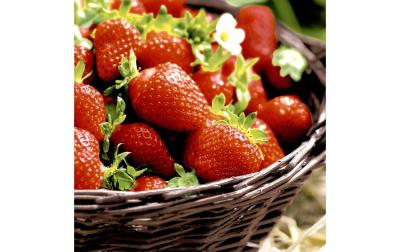 Paper+Design Servietten Strawberries