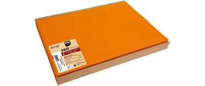 PRO nappe Tischsets Orange, 100 Stück