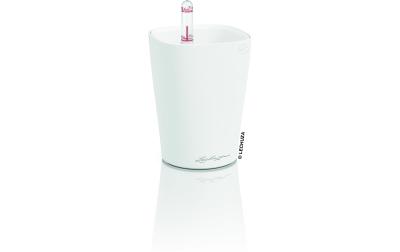 MINI DELTINI
