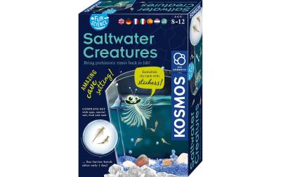 Fun Science Saltwater Creature