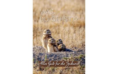 Cart Gl&uuml;ckwunschkarte Abschied