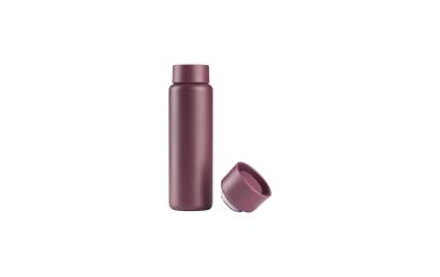Zone Flasche Singles, Thermo 650ml,Mulberry