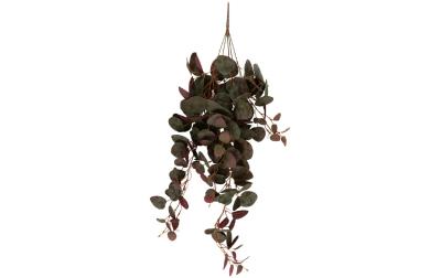 present time Kunstplanze Ceropegia