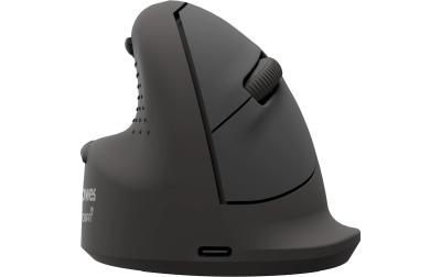 Fellowes Breyta Plus+ Vertikalmaus, schwarz