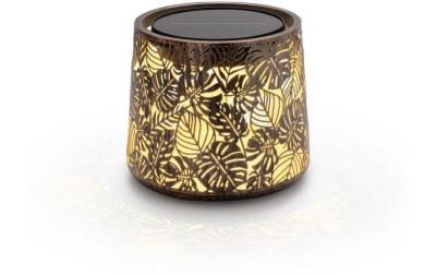 STT Solar Antic Mini Jungle