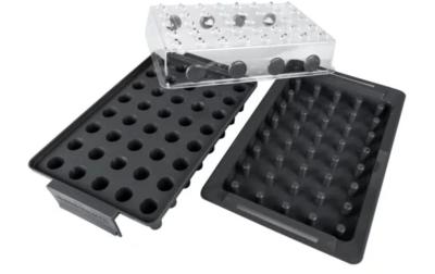 Wurzelvorschule RootXtender