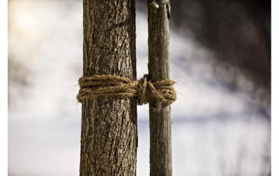 Kokos-Baumanbinder 100m