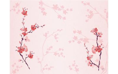 Duni Tischset Papier Cherry Breeze