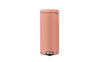 Brabantia NewIcon Treteimer 30 Liter