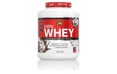 All Stars Whey Protein 100%