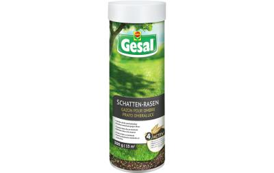 Schatten-Rasen 300 g
