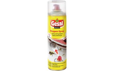 Protect Wespen-Spray 500 ml