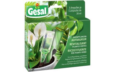 Grünpflanzen Aufbaukur 5x30ml