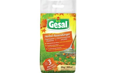 Herbst-Rasendünger 6 kg