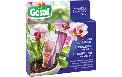 Orchideen-Aufbaukur 5x30ml