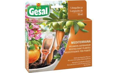 Mediterrana Pflanzen Aufbaukur (5x30 ml)