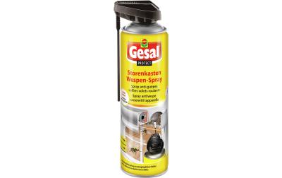 Protect Storenkasten Wespen-Spray 500 ml