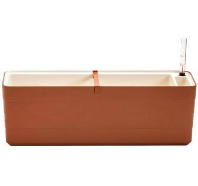 Bewässerungskasten Berberis 60 cm