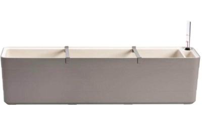 Bewässerungskasten Berberis 80 cm