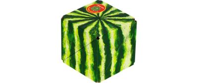 Shashibo Cube Hyper Melon Omega Mart