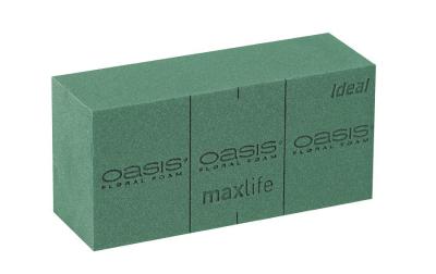 Optiflor Frischblumen-Steckschaum OASIS