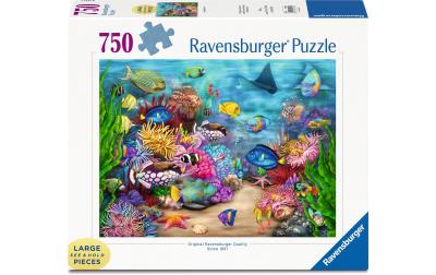 Tropisches Riffleben