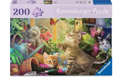 Verspielte Kätzchen