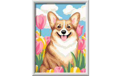 CreArt Malen nach Zahlen Corgi