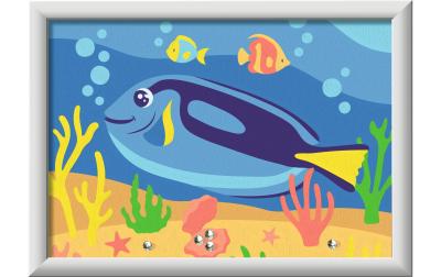 CreArt Malen nach Zahlen Doktorfisch