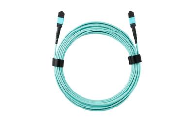 Zyxel Fiber-Kabel-MPO-10M