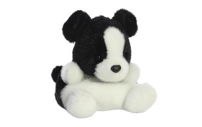 PP Brodie Collie Dog