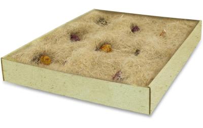 Back to Instinct Aktiv Teppich