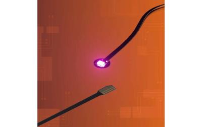 LMB 2.0 Astro LED Pink