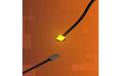 LMB 2.0 Astro LED Gross Orange
