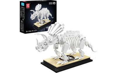 Triceratops Fossil