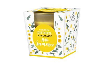 Pajoma Citronella Kerze im Glas