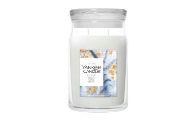 Yankee Candle Silver Birch