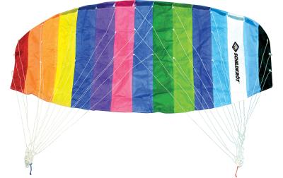 Schildkröt Dual Line Sport Kite 2.0