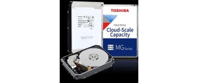 Toshiba Enterprise Capacity MG11ACA 24TB