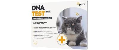 Pezz DNA-Test Rassebestimmung Katze