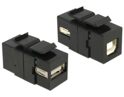 Delock Keystone Jack: USB2.0